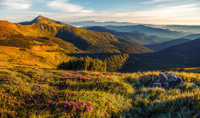 A magnificent panorama of the mountains. impressively beautiful summer landscape in the mountains. Picture of wild area. Amazing natural background.