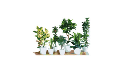 Wall Mural - vector abstract indoor ornamental plants