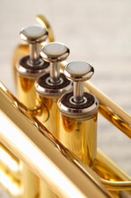Close-up Of Trumpet Valves