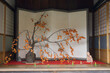 © Designpics - Tree in Temple, Adashino Nenbutsuji Temple, Kyoto, Kansai, Honshu, Japan