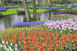 © Designpics - Keukenhof Gardens, Lisse, Holland