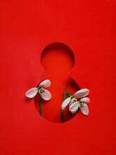 World Women's Day. Hole Paper Space In The Shape Of The Number 8 With Flowers