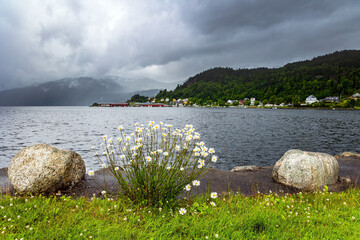 Canvas Print - Large lake