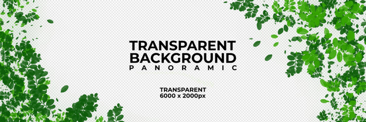panoramic background transparent grass leaf trees green, flower, pink flower, orange flower, colors