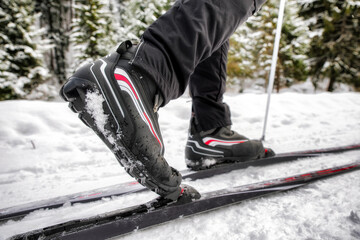 Wall Mural - detailed view of a cross-country skiers shoe. Winter sport activity