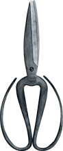 Vintage Metal Black Scissors Watercolor Illustration. Rustic Farmhouse Clipart Element.