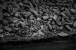 Schrott Fahrrad am Wrack des Aalschokkers Conny am Silbersee in Dormagen