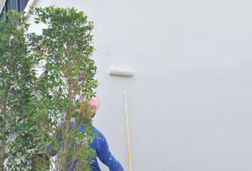 Wall Mural - A worker is painting the walls of the house with a primer using a paint roller.