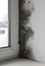 The Window Is Covered With Mold In The Middle Of The House. Strong Formation Of Black Fungus. Excessive Humidity And Condensation Formed A Black Coating Of Mold On The Wall.