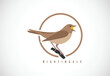 Nightingale bird in a circle. Nightingale bird logo design template vector illustration