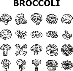 Canvas Print - broccoli food cabbage vegetable icons set vector. brocolli green, vegan character, design salad, plant veggie, happy healthy, vitamin broccoli food cabbage vegetable black contour illustrations