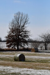 Poster - Hay Bale by a Tree in a Field