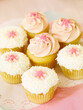 © Designpics - Plate of Cupcakes
