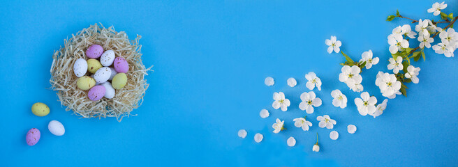 Wall Mural - Colored easter eggs in a nest of straw and white flowering tree branches on the blue  background. Holiday background. Copy space.