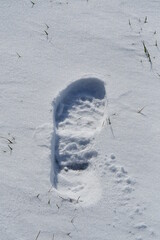 Canvas Print - Footprint in Snow