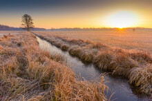 Landscape With Stream And Lone Tree At Sunrise In February In Hesse, Germany