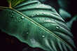 close-up of a green leaf with raindrops
