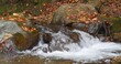 Beautiful brook in the mountains, autumn wild nature of Carpathian Mountains in western Ukraine. Cinema 4K 60fps one minute relax video with sound