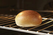 © Designpics - Bun in an Oven
