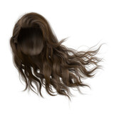Windblown long wavy hair on isolated white background, 3D Illustration, 3D Rendering