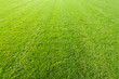 © Designpics - Green Grass, Gunzenhausen, Weissenburg-Gunzenhausen, Bavaria, Germany