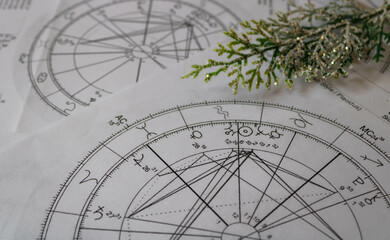 Wall Mural - Astrological natal charts with a small fragile shiny branch, winter and holiday concept