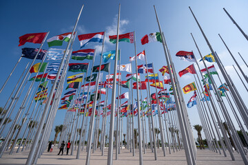 Various flags of the world