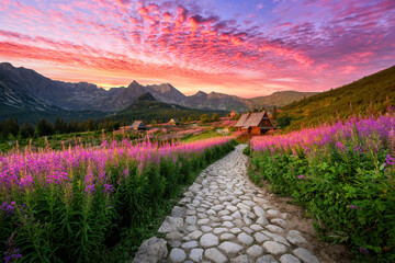Wall Mural - beautiful summer sunrise in the mountains - hala gasienicowa in poland - tatras