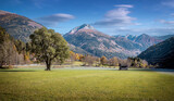 Fototapeta Sypialnia - Amazing sunny morning scenery in European Alps. Wonderful nature landscape on mountain valley. Amazing grassy field with fog. picture of wild nature. stunning nature bakground. rich harvest concept