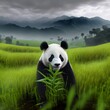panda eating bamboo green grass cluds mountains