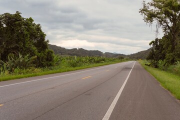 Wall Mural - Highway in tropical forest area on a cloudy day. Ribeira Valley, Brazil