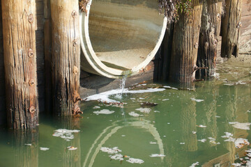 water pollution from sewer pipe draining into the lagoon