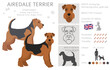 Airedale terrier all colours clipart. Different coat colors set