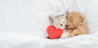 canvas print picture - Cute tiny Toy Poodle puppy hugs happy tabby kitten under white warm blanket on a bed at home. Top down view. Empty space for text