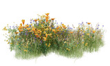 Fototapeta Lawenda - Various types of flowers grass bushes shrub and small plants isolated
