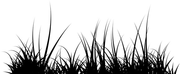 grass silhouette black