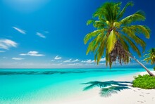 Palm Trees Against Blue Sky, Tropical Coast With Mountains On A Background, Ocean, Sea With Turquoise Water. Summertime.