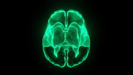 Canvas Print - Green digital brain scan futuristic. animation light glow. 4k resolution