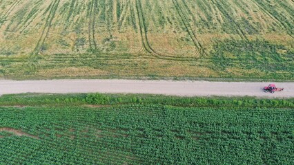 Minsk district, Belarus - July 08th 2022: A farmer drives a tractor between two fields: buckwheat and soybean. Rural landscape. Rural road for tractors along a green field.