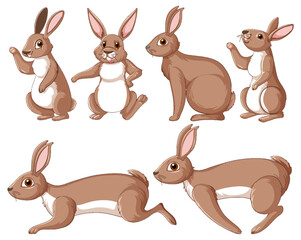 Wall Mural - brown rabbits in different poses set