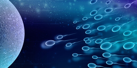 

3d illustration showing sperms and egg