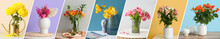Collection Of Stylish Vases With Beautiful Fresh Flowers On Table Against Color Wall