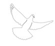 flying white dove, symbol of peace, hand drawn, continuous mono line, one line art