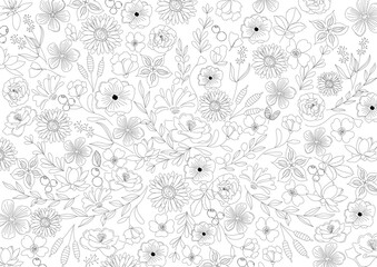 花　シンプルライン、線画、ナチュラル　美しい線画のボタニカル背景素材　Simple Line , Line Art 　Botanical , Flower , Black , Texture , Simple , Beautiful , Natural