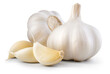 Garlic bulb and clove isolated. Garlic bulbs with cloves on white background. White garlic bulb composition. With clipping path. Full depth of field.