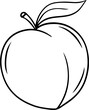 Illustration of a peach in a hand-drawn style.