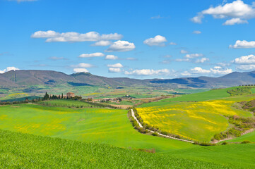 Wall Mural - Meadows