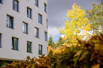 Wall Mural - modern apartment building on blue sky background