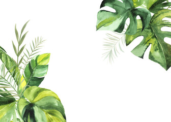 tropical background with green watercolor leaves. place for your text. perfect for wedding and cerem