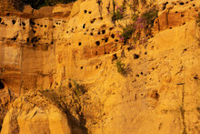 Dark Yellow Sandy Cliff With Swallow Holes. Sand Martin Nesting Colony. Burrows In The Sandy Cliff.